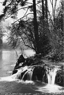 cascade