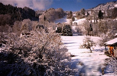 neige.jpg (51954 octets)